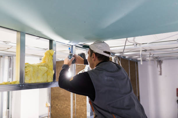 Insulation Replacement Services in Montebello, NY