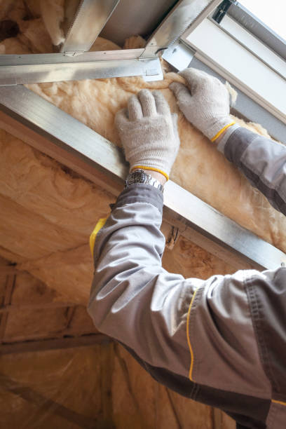 Best Cellulose Insulation  in Montebello, NY